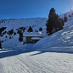Semesterbostad In Wildkogel With Ski-in Ski-out *