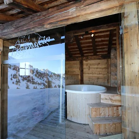 In Wildkogel With Ski-in Ski-out Hébergement de vacances *