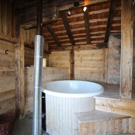 In Wildkogel With Ski-in Ski-out Bramberg am Wildkogel