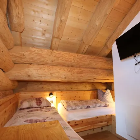 In Wildkogel With Ski-in Ski-out *