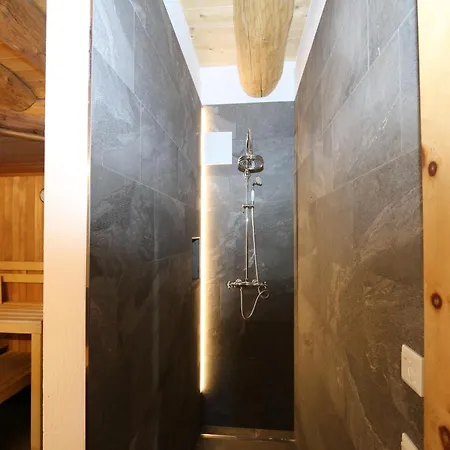 In Wildkogel With Ski-in Ski-out Hébergement de vacances